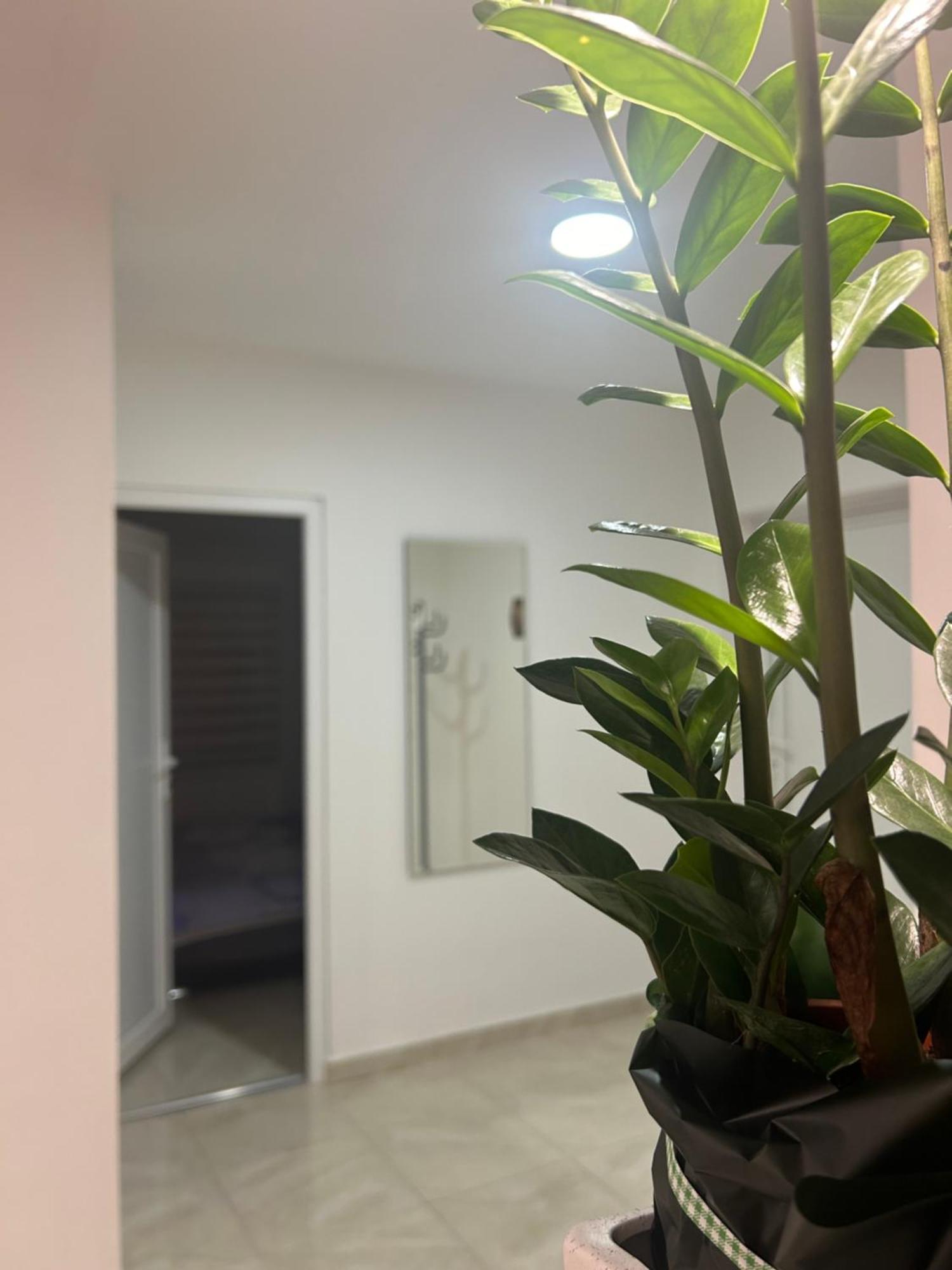 סורצ'ין Apartman Diamond Lux מראה חיצוני תמונה