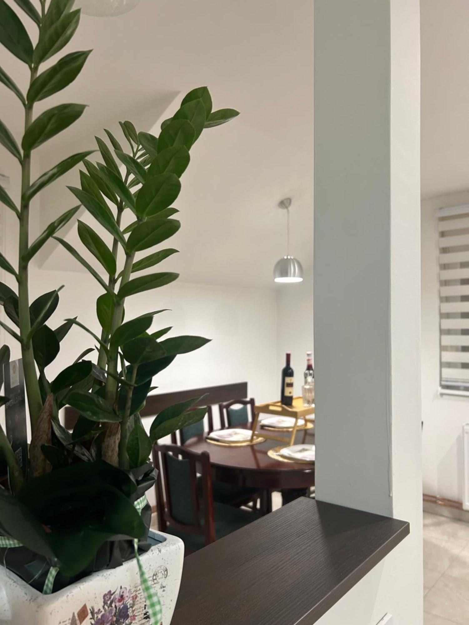 סורצ'ין Apartman Diamond Lux מראה חיצוני תמונה